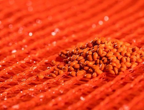 Worki raszlowe na roli z bezpiecznego dla żywności granulatu 